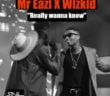#Nigeria: Music:  Mr Eazi x Wizkid – Really Wanna Know (Ole Remix)
