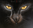 #Nigeria: Music: Brymo – Patience and Goodluck