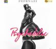 #Nigeria: Music: Pepenazi – Psychedelic