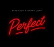 #Nigeria: Music: Bizzouch – Perfect ft. Barry Jhay