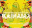 #Tanzania: Video: Harmonize – Kainama ft. Burna Boy x Diamond Platnumz