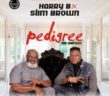 #Nigeria: Music: Harry B – Pedigree ft. Slim Brown.