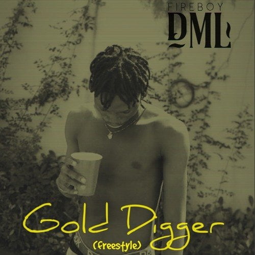 #Nigeria Music: Fireboy DML – Gold Digger (Freestyle)