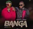 #Nigeria: Music: KINGP – Banga ft Zlatan (Prod. Tefa)