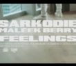 #Ghana: Video: Sarkodie Ft. Maleek Berry – Feelings