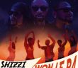 #Nigeria: Music: Shizzi x Davido x Wale – Won Le Ba