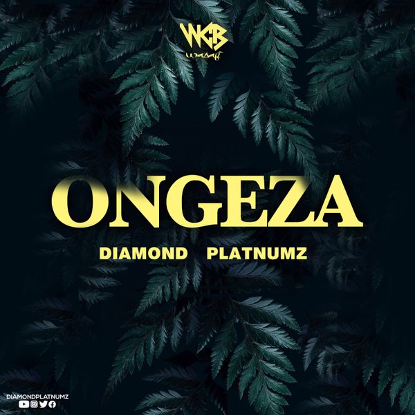 #Tanzania: Music: Diamond Platnumz – Ongeza