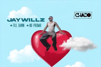 Jaywillz – No Promo